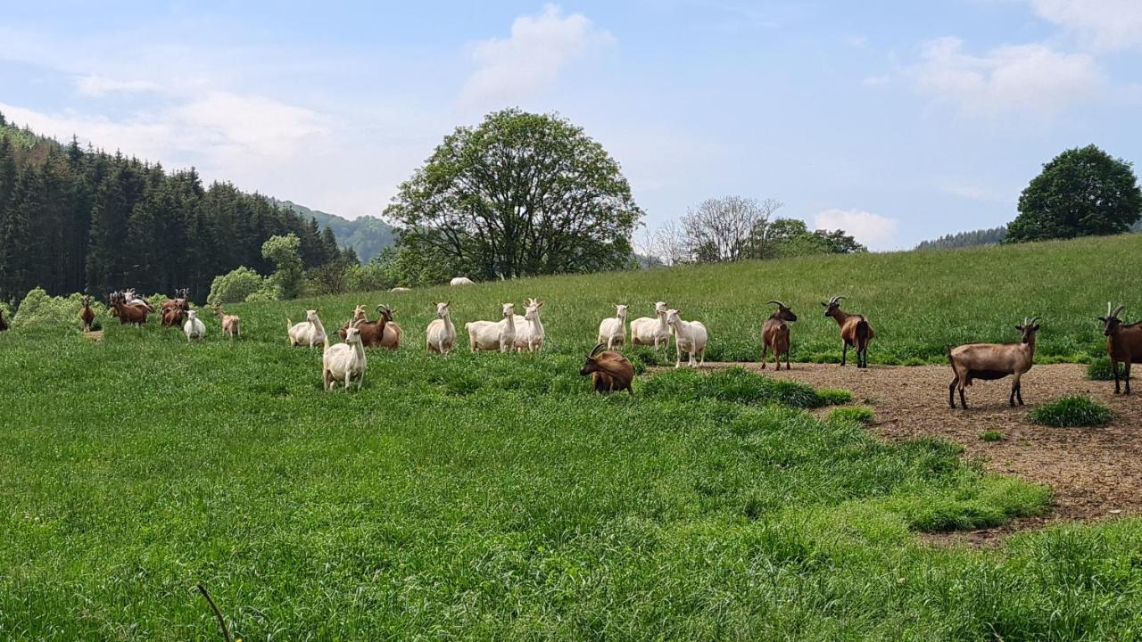 Vakantiehuisje Winterberg Buitenkant foto