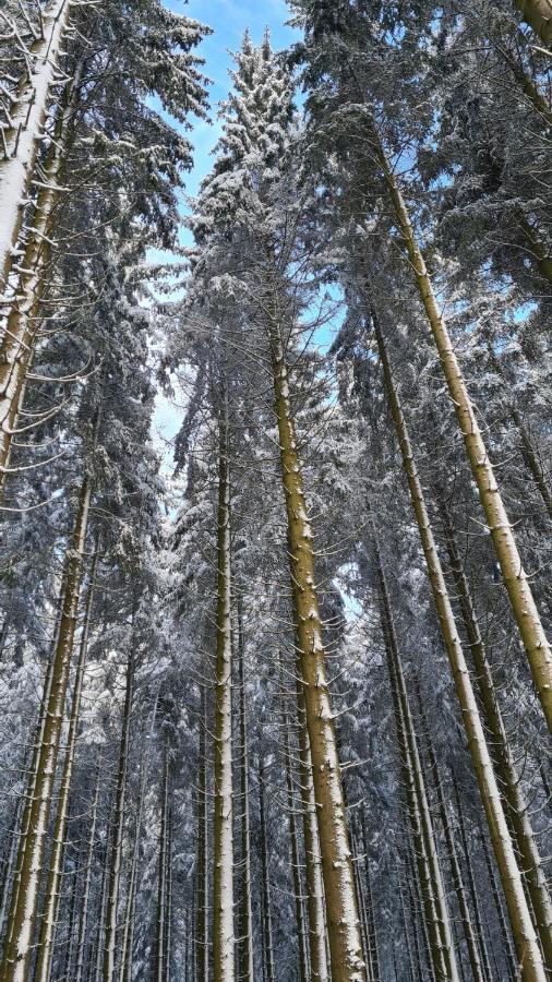 Vakantiehuisje Winterberg Buitenkant foto